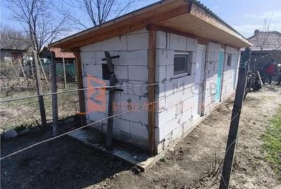 Casă cu 3 camere semidecomandat cu Teren 844 Mp în Pietroasele - 13