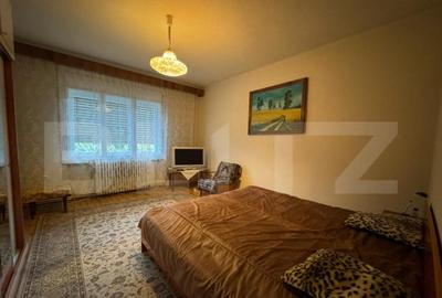 Casa cu 6 camere in Hunedoara zona Zlasti - 4