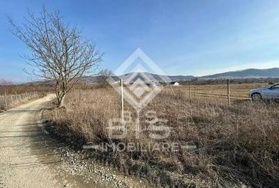 Teren intravilan Zona Unirea - 1