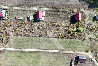 Refugiu la marginea padurii — 1000 mp de liniste in Cocani. - 4