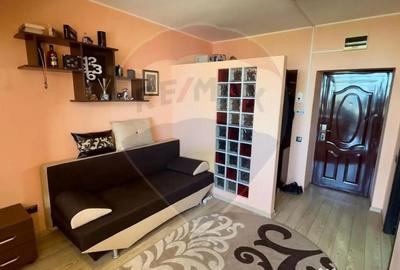 Garsonieră, mobilată în Săsar - 2