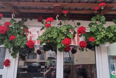 Casă cu 4 camere în Ultracentral - 10