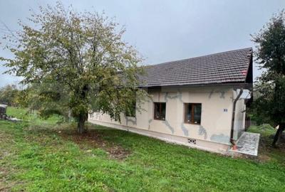 Casa de Vanzare in Teaca de 3 camere plus 17 arii teren ! - 10