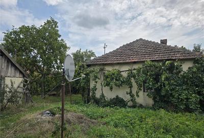 RECO IMOBILIARE CASA BATRANEASCA TINCA - 8