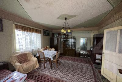 Teren 3000 mp + 2 case de vanzare-Ca?eiu - 28