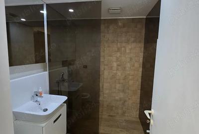 Apartament cu 2 camere semidecomandat în Herăstrău - 3