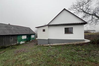 RECO, casa in Sinteu, aproape de Huta Slavia - 11