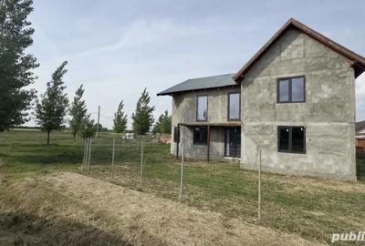 Vand casa sau schimb casa cu apartament in Sannicolau Mare, Timis - 4