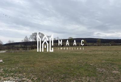 Spațiu comercial, în Sadu - 2