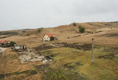 Teren în Petrești - 6