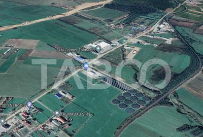Teren de 15000 mp, în Tălmaciu - 3