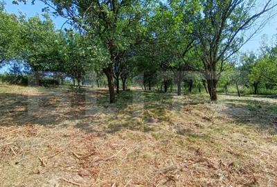 Casă cu 2 camere cu Teren 3350 Mp în Central - 3