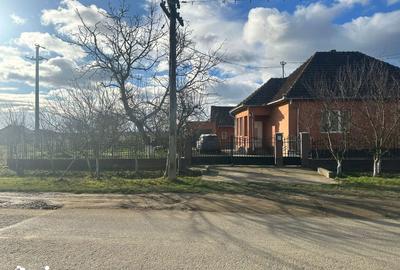Casă cu 6 camere cu Teren 20000 Mp în Micula - 8