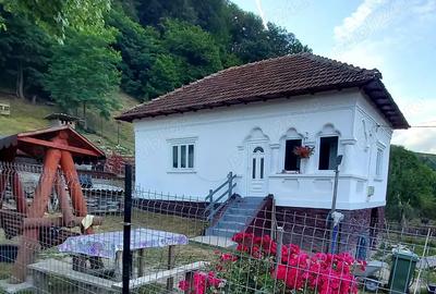 Vand casa la munte ! - 3