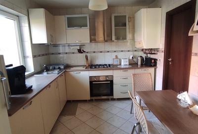 Clinceni, str. Putul Olteni - 1