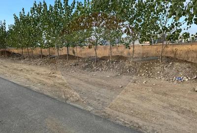 Teren de 9400 mp, în Theodor Pallady