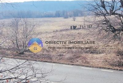 Teren Construcții intravilan de 3035 mp, în Bodești - 10