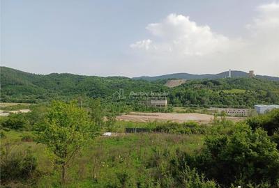 Resita, Teren Drept Intravilan, 11510 Mp., 4 Euro Mp., Valea Terovei - 3