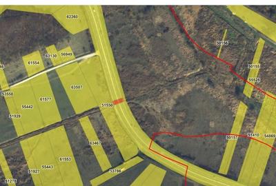 Teren de vanzare- Valcele/Martinesti - 2