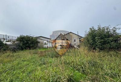 Casa 5 camere, PALAZU MARE, 204 mp cu teren 904 mp - 1