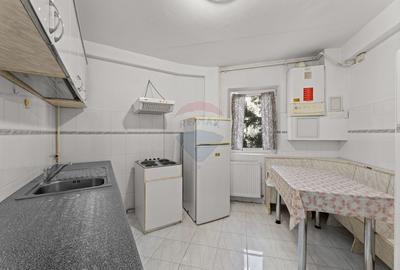 Apartament cu 3 camere de inchiriat in zona Malul Muresului - 6