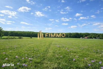 Teren de 3200 mp, în Mitocu Dragomirnei - 2