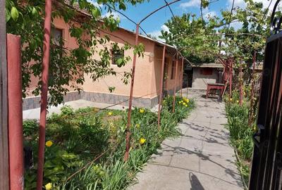 Casă cu Teren 919 Mp în Central - 3