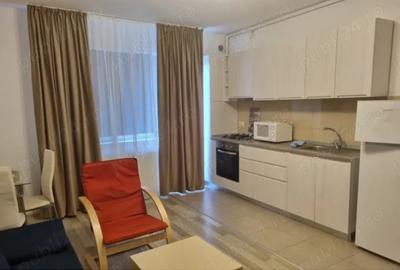 Apartament cu 2 camere semidecomandat, mobilat în Parcul Carol - 3