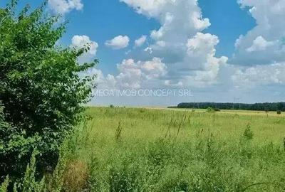 Teren de 428.99 mp, în Brănești - 3