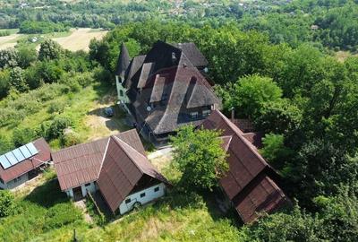 Casă cu 10 camere cu Teren 24700 Mp în Berchezoaia - 10