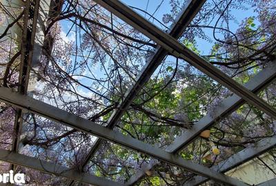 Casă cu 7 camere cu Teren 600 Mp în Central - 10