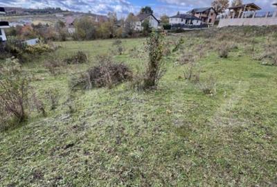 Parcelare 10/20/30! Zona Subcetate - 2