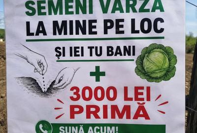 Spațiu comercial, în Lungulețu - 1
