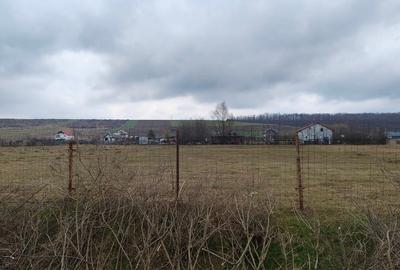 Teren Construcții intravilan de 1100 mp, în Mogoșești - 2