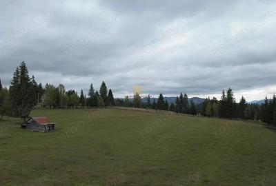 Teren 2804 mp, la munte! In Bucovina Fundu Moldovei! - 5