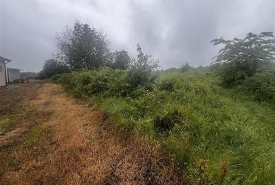 Teren intravilan, 1000mp, in Valea Calugareasca. - 6
