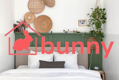 Garsonieră semidecomandată, mobilată în Armeneasca - 6