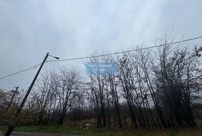 Teren intravilan Drumul Fermei - 3