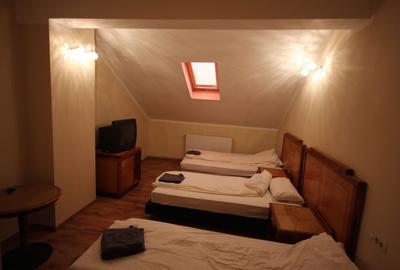 Vila  destinatie camin batrani - 31