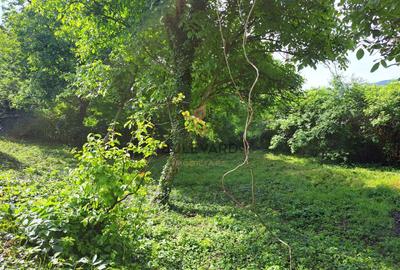 Casa individuala + teren 947 mp - 19