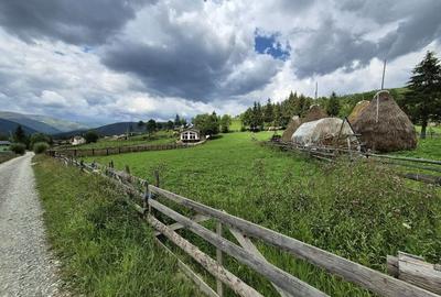 Teren intravilan 2470 mp cu vedere către munte! - 8