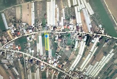 Teren intravilan, Curcubeu, Balta Doamnei, liber, imprejmuit - 4