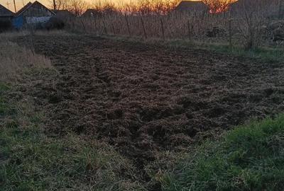 Casă cu 3 camere cu Teren 10000 Mp în Central - 4