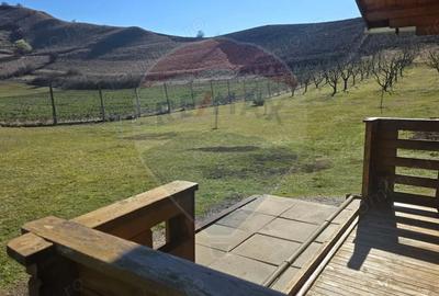 Teren de 2900 mp, în Păucea - 5