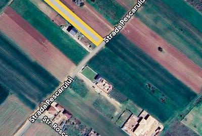 Teren intravilan 2.500 mp cu dublă deschidere – Măgurele, Ilfov - 6