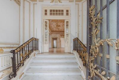 REV2000724 Vila deosebita Lascar Catargiu gradina mare - 10