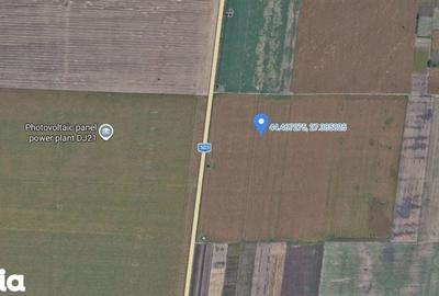 Teren de 20000 mp, în Dragalina - 2