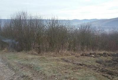 Teren de 5063 mp, în Lechința - 6