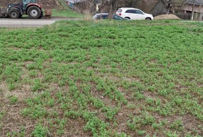 Teren de 2900 mp, în Ațintiș - 2
