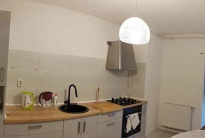 Persoana Fizica Apartament cu 1 camera Fabricii - 6